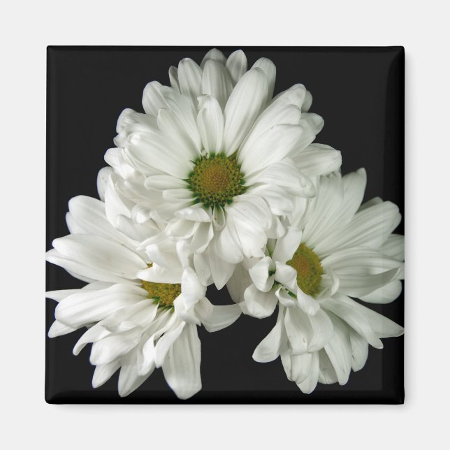 Imán Triple luz solar (Frente)