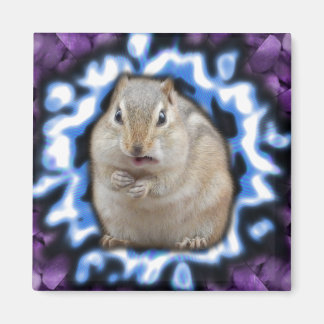 Imán Tripmunk Magnet