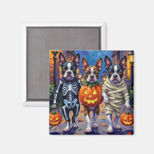 Imán Trípoli o tratamiento de perros de Boston Terrier 