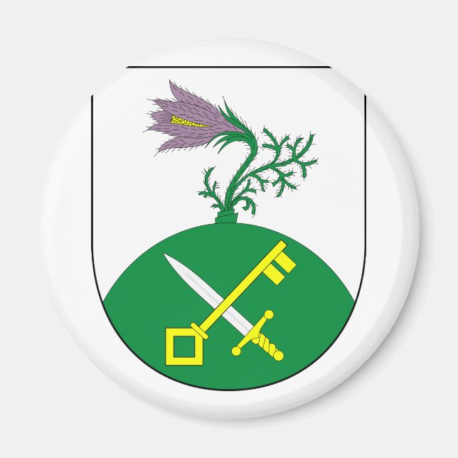 Imán Trnava TR, checo (Frente)