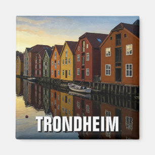 Imán Trondheim Bakklandet Noruega Viaje
