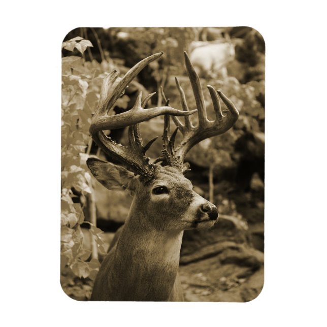 Imán Trophy Deer (Vertical)