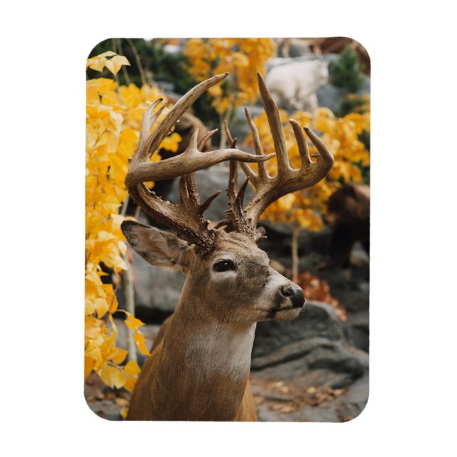 Imán Trophy Deer (Vertical)
