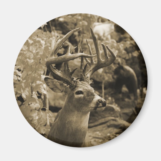 Imán Trophy Deer (Frente)