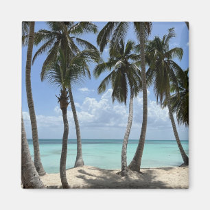 Imán tropical