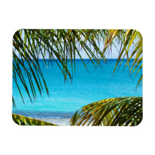 Imán Tropical Beach framed with Palm Fronds