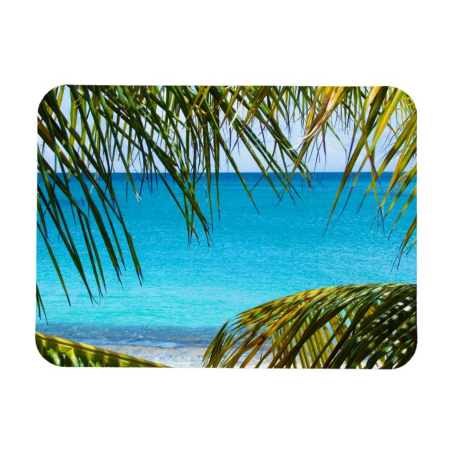 Imán Tropical Beach framed with Palm Fronds (Horizontal)