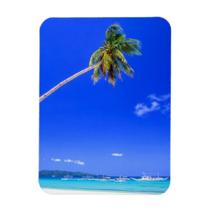 Imán Tropical Beaches   White Beach, Phillipines