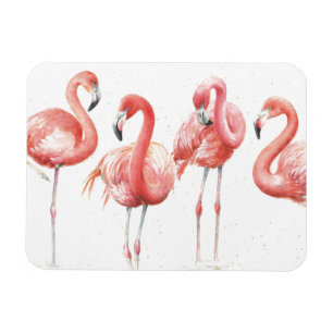 Imán Tropical   Familia de flamencos