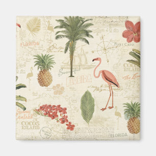 Imán Trópico de Floridian