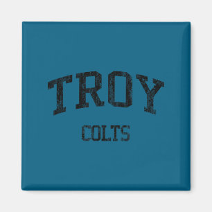 Imán Troy escuela secundaria hs troy mi deportes vintag