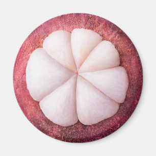 Imán Trozo de mangostino