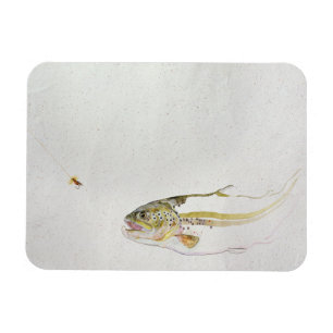 Imán Trucha persiguiendo a la mosca de un pescador