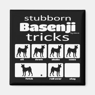 Imán Trucos de Basenji