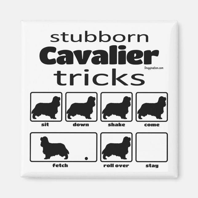 Imán Trucos de Cavalier (Frente)