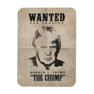 Imán Trump quiere Poster - Trump el golpe
