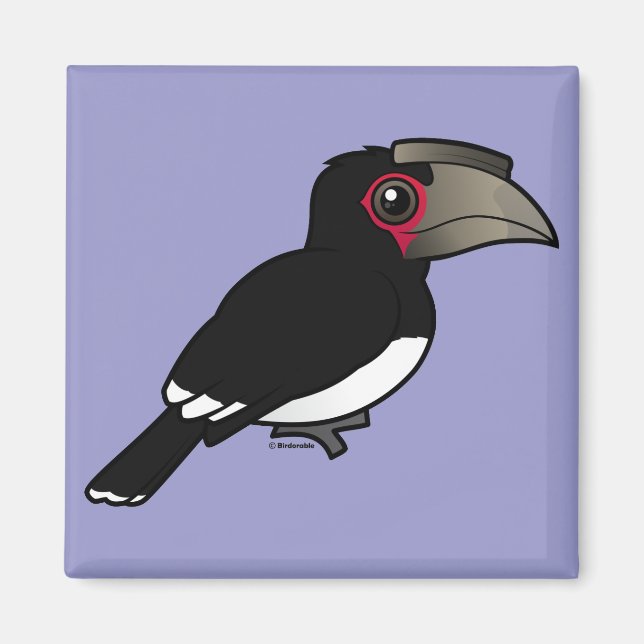 Imán Trumpeter Hornbill (Frente)
