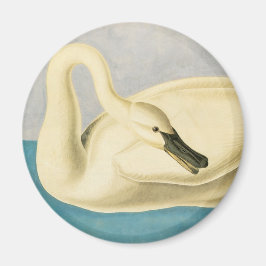 Imán Trumpeter Swan de John James Audubon, ave vintage