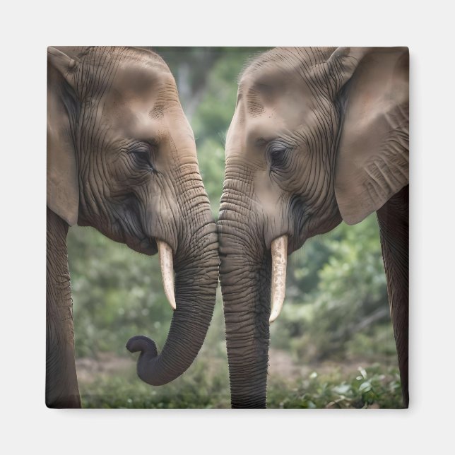 Imán "Trunk to Trunk: A Gentelphant Embrace" (Frente)