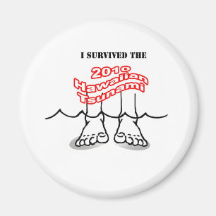 Imán Tsunami de 2010 Hawaiian