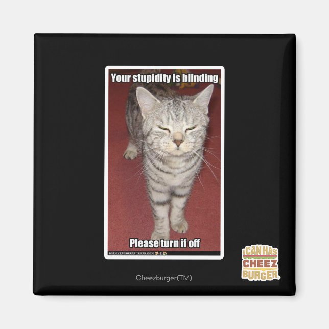 Imán Tu estupidez es cegadora 2 (Frente)