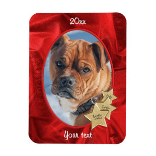 Imán Tu foto: Navidades Rojo Óval
