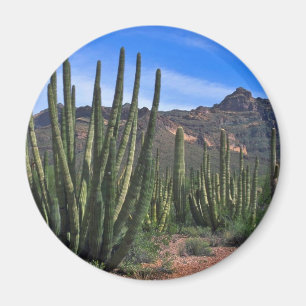 Imán Tubos de órgano en desierto