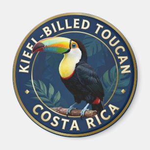 Imán Tucán Pico Canoa Costa Rica Ave Tropical