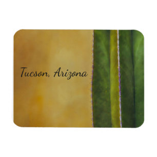 Imán Tucson Arizona cactus