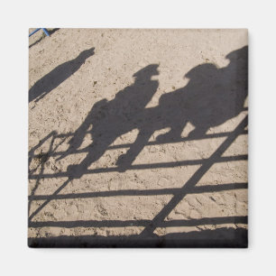 Imán Tucson, Arizona: Sombras de competidores de Rodeo