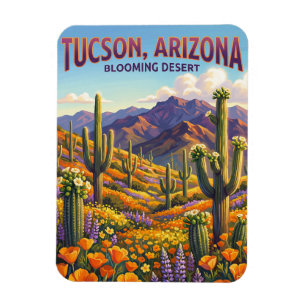 Imán Tucson EE. UU.