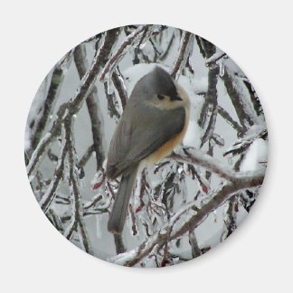 Imán Tufted Titmouse