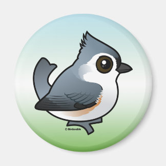 Imán Tufted Titmouse