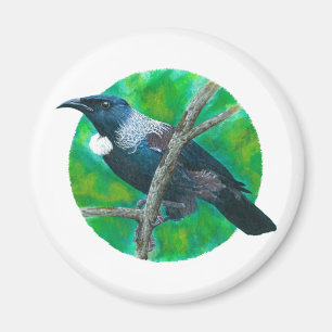 Imán Tui de Nueva Zelanda - Pintura en acrílico