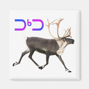 Imán Tuktu - Caribou