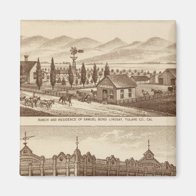 Imán Tulare Co Bank (Frente)