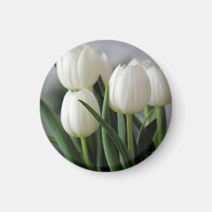 Imán Tulip