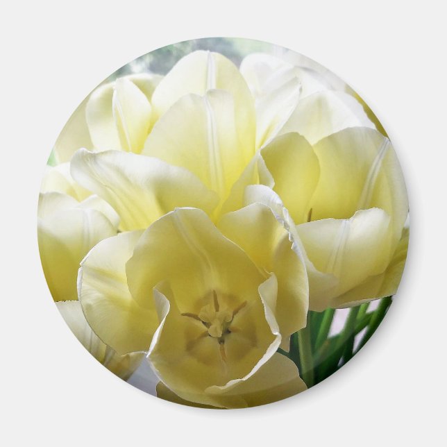 Imán Tulip Bouquet amarillo (Frente)