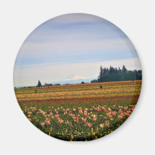 Imán Tulip Field con Mt. Hood, Oregón