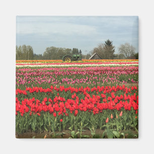 Imán Tulip Field con Tractor y Barn