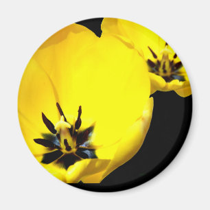 Imán Tulip Magnet amarillo