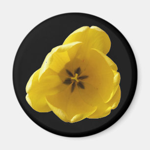 Imán Tulip Magnet amarillo