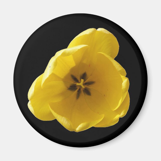 Imán Tulip Magnet amarillo (Frente)