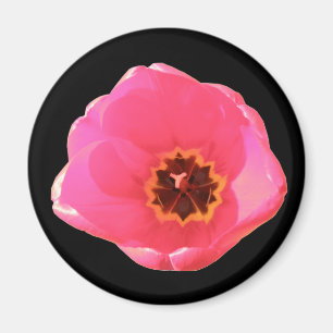 Imán Tulip Magnet rosa