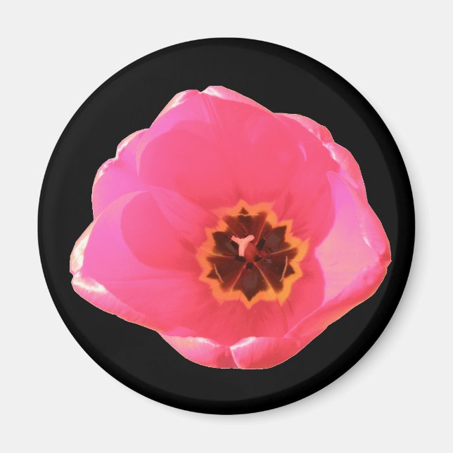 Imán Tulip Magnet rosa (Frente)