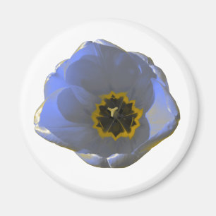 Imán tulipán azul y amarillo