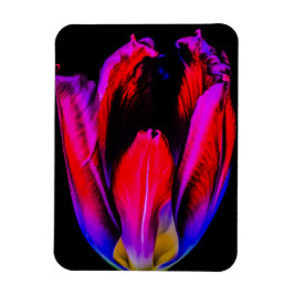 Imán Tulipán de brillo de neón