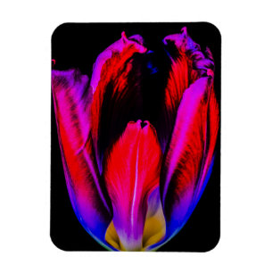 Imán Tulipán de brillo de neón