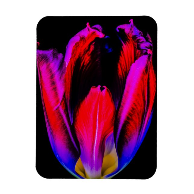 Imán Tulipán de brillo de neón (Vertical)