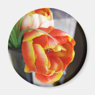 Imán Tulipán de seda